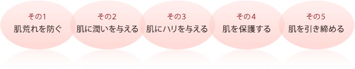 その1 肌荒れを防ぐ その2 肌に潤いを与える その3 肌にハリを与える その4 肌を保護する その5 肌を引き締める