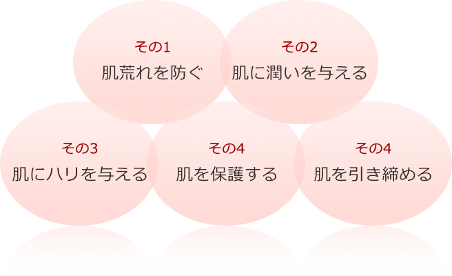 その1 肌荒れを防ぐ その2 肌に潤いを与える その3 肌にハリを与える その4 肌を保護する その5 肌を引き締める