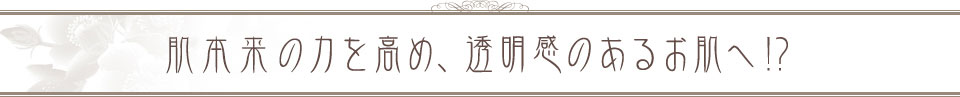 皮膚免疫力を高め、透明感のあるお肌へ!?