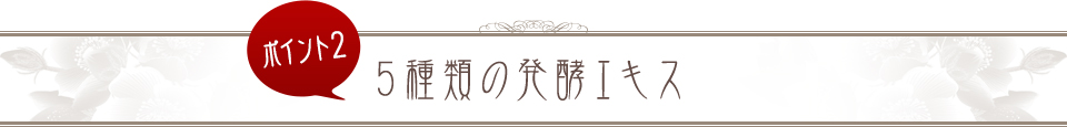 ポイント2 5種類の発酵エキス