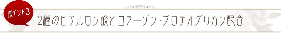 ポイント3 2種のヒアルロン酸とコラーゲン・プロテオグリカン配合