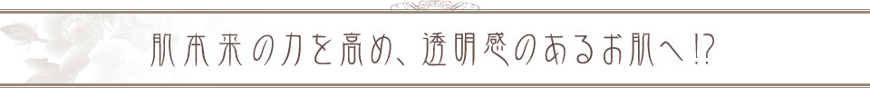 皮膚免疫力を高め、透明感のあるお肌へ！？