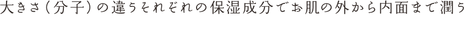 大きさ（分子）の違うそれぞれの保湿成分でお肌の外から内面まで潤う