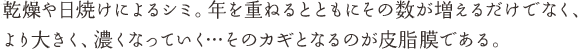 加齢や日焼けによるシミ。年を重ねるとともにその数が増えるだけでなく、より大きく、濃くなっていく…そのカギとなるのが皮脂膜である。